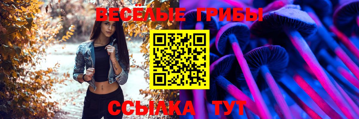 Галлюциногенные грибы Magic Shrooms  Вход с VPN  Галлюциногенные грибы ЛСД  Красногорск 